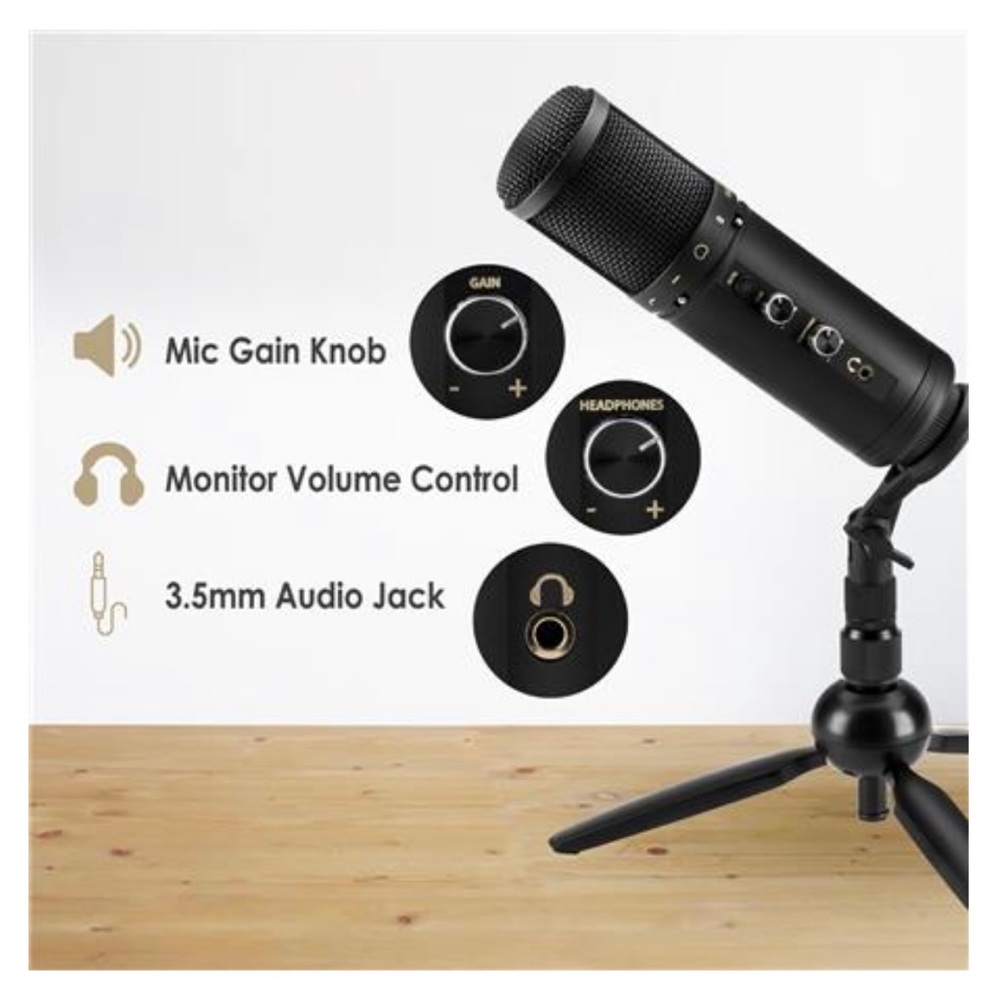Microphone